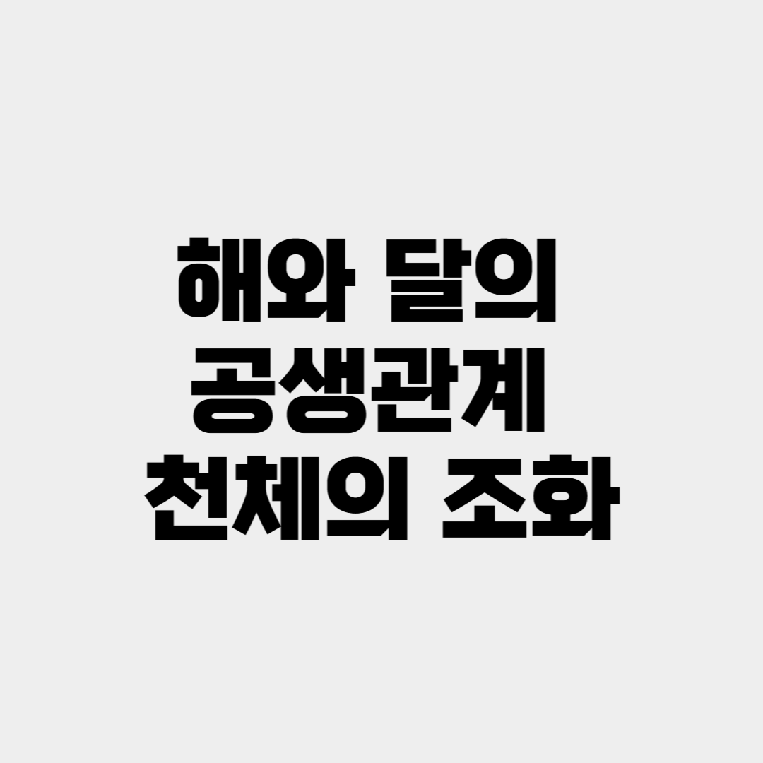 해와 달의 공생관계,